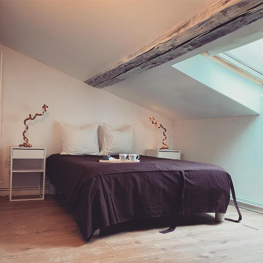 Superbe Duplex En Plein Coeur De Nancy Dış mekan fotoğraf